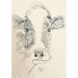 Caroline Walker (20th-21st Century) British. "Jessica", Head of a Cow, Pencil, Signed with initials,
