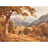 Edward Henry Holder (1847-1922) British. A Welsh Landscape, Oil on panel, Signed, and inscribed on a