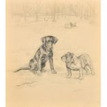 K F Barker (Early 20th Century) British. A Labrador and Bulldog in a Landscape, Pencil, Signed,