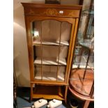 Large Edwardian Slimline Display with under shelf .