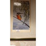 Limited edition print of Kingfisher perched on fishing rod signed by Artist with Franking mark .
