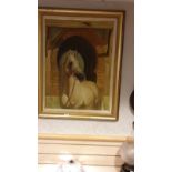 Large Oil Painting Of Arab Horse indestinctly Signed Small Bird to left of Signature?.
