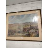 Large Scottish highland with Grouse grazing scene picture fitted frame signed C Stanley Todd 1987.