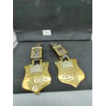 Pair of horse RSPCA brasses dated 1920/21