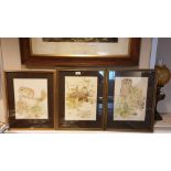 3 Natural water colours of tawny owl , red squirrel and hedgehog all signed .