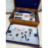 Oak antique box containing semi precious stones & rock samples .