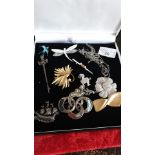 Lot costume brooches to include silver ect.