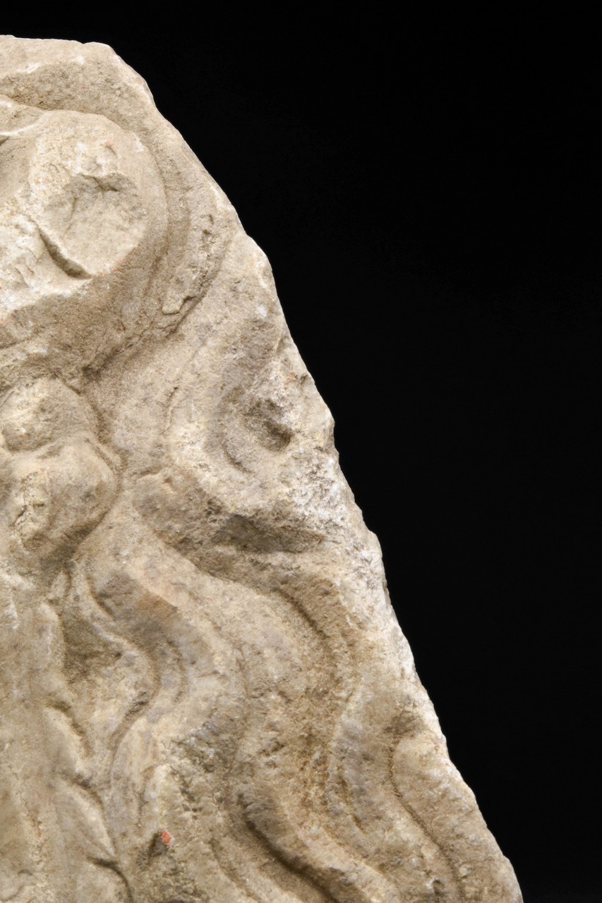 A ROMAN MARBLE FRAGMENT OF FOREPART OF A CAPRICORN - Image 4 of 6