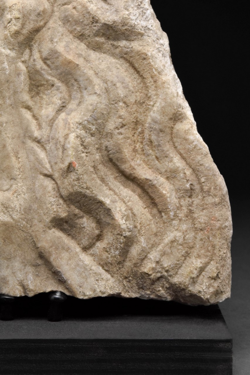 A ROMAN MARBLE FRAGMENT OF FOREPART OF A CAPRICORN - Image 6 of 6