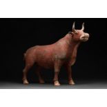 CHINESE TANG DYNASTY TERRACOTTA BULL - TL TESTED