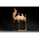 CHINESE BACTRIAN TERRACOTTA CAMEL - TL TESTED