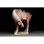 CHINESE TANG DYNASTY TERRACOTTA HORSE - TL TESTED