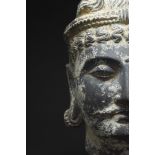 GANDHARAN SCHIST BODHISATTVA MAITREYA HEAD - OVER LIFE SIZE