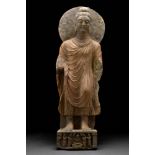 LARGE GANDHARAN SCHIST STANDING BUDDHA WITH HALO