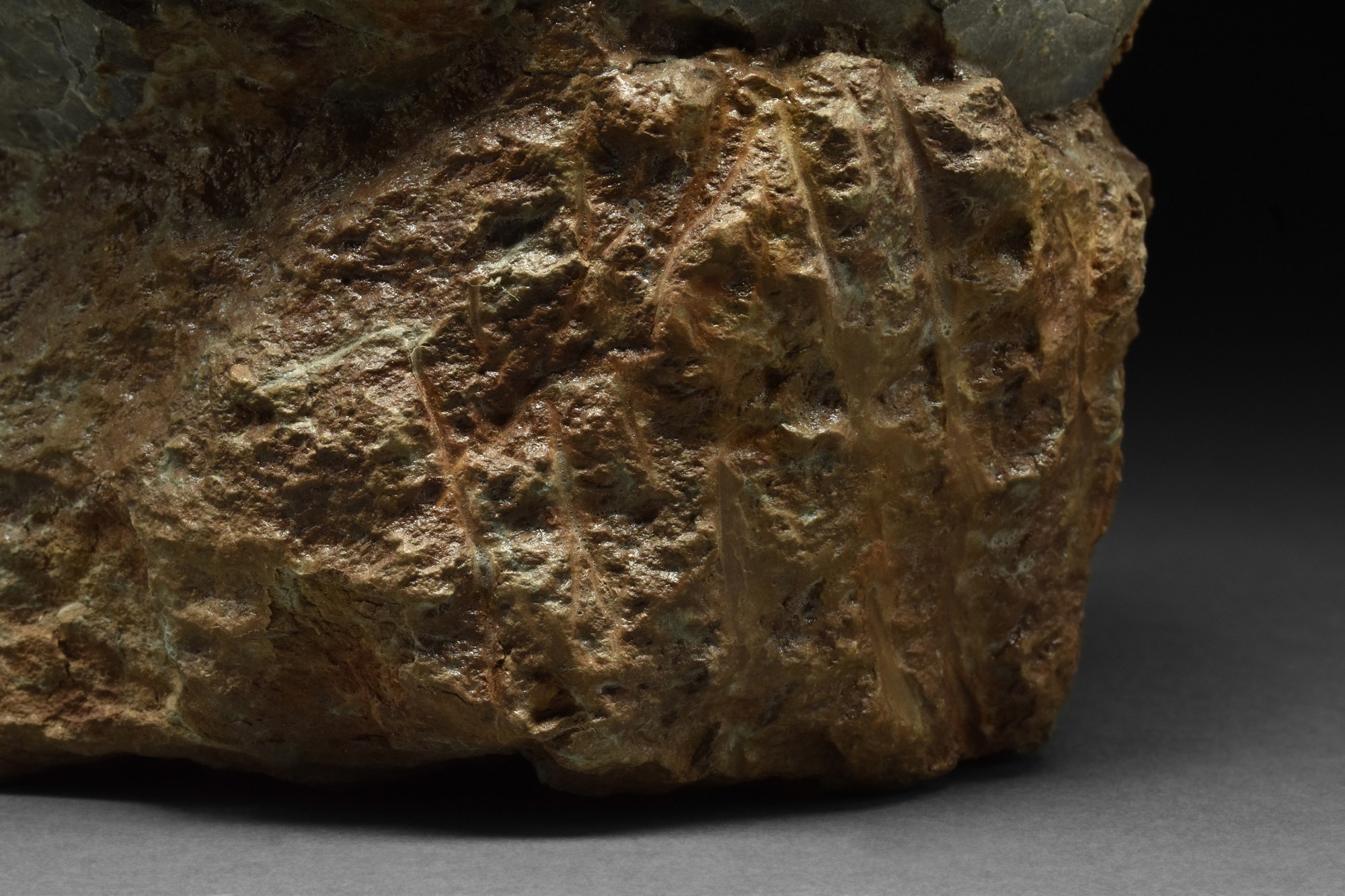 DINOSAUR EGG FOSSIL - Image 6 of 6