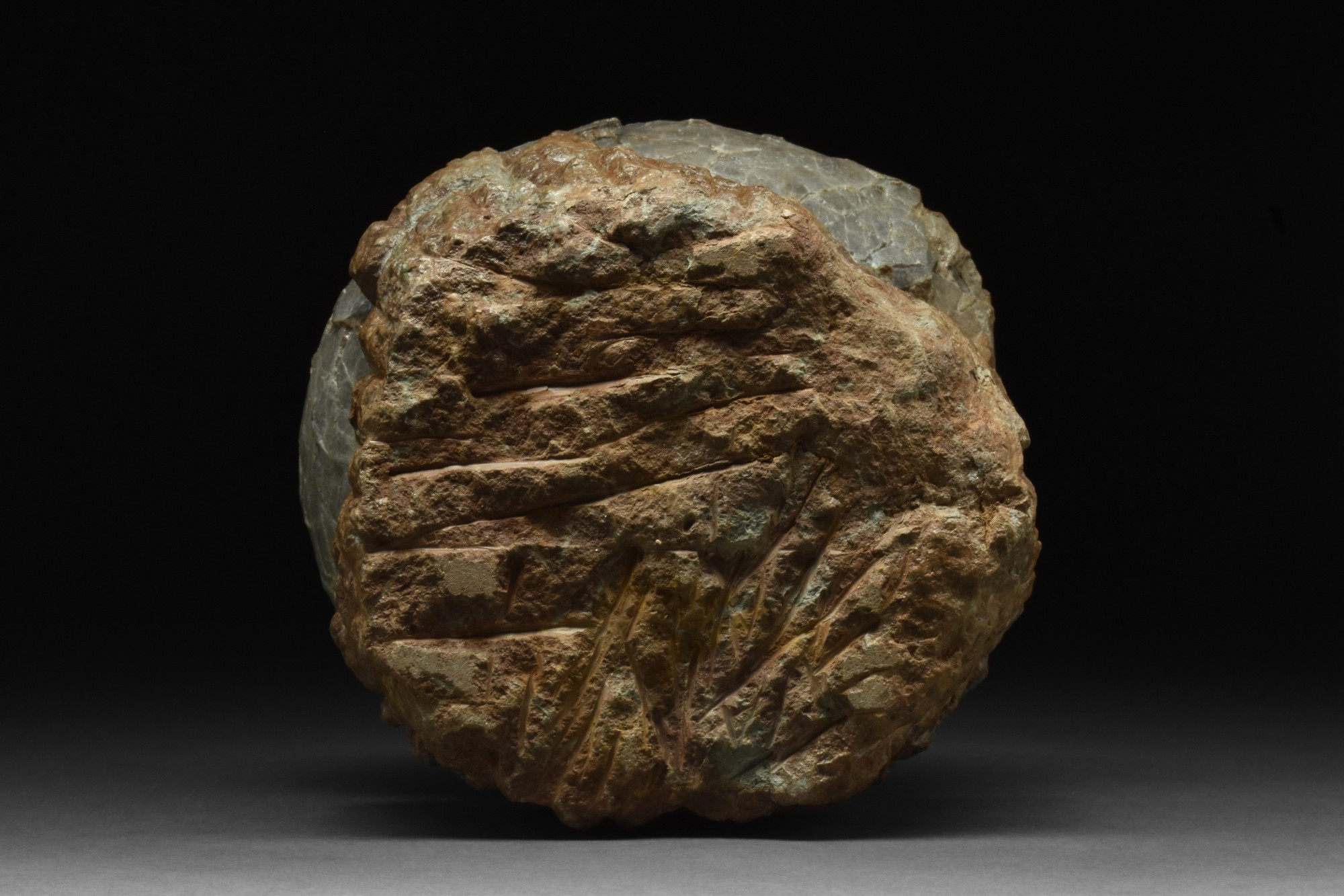 DINOSAUR EGG FOSSIL - Image 4 of 6