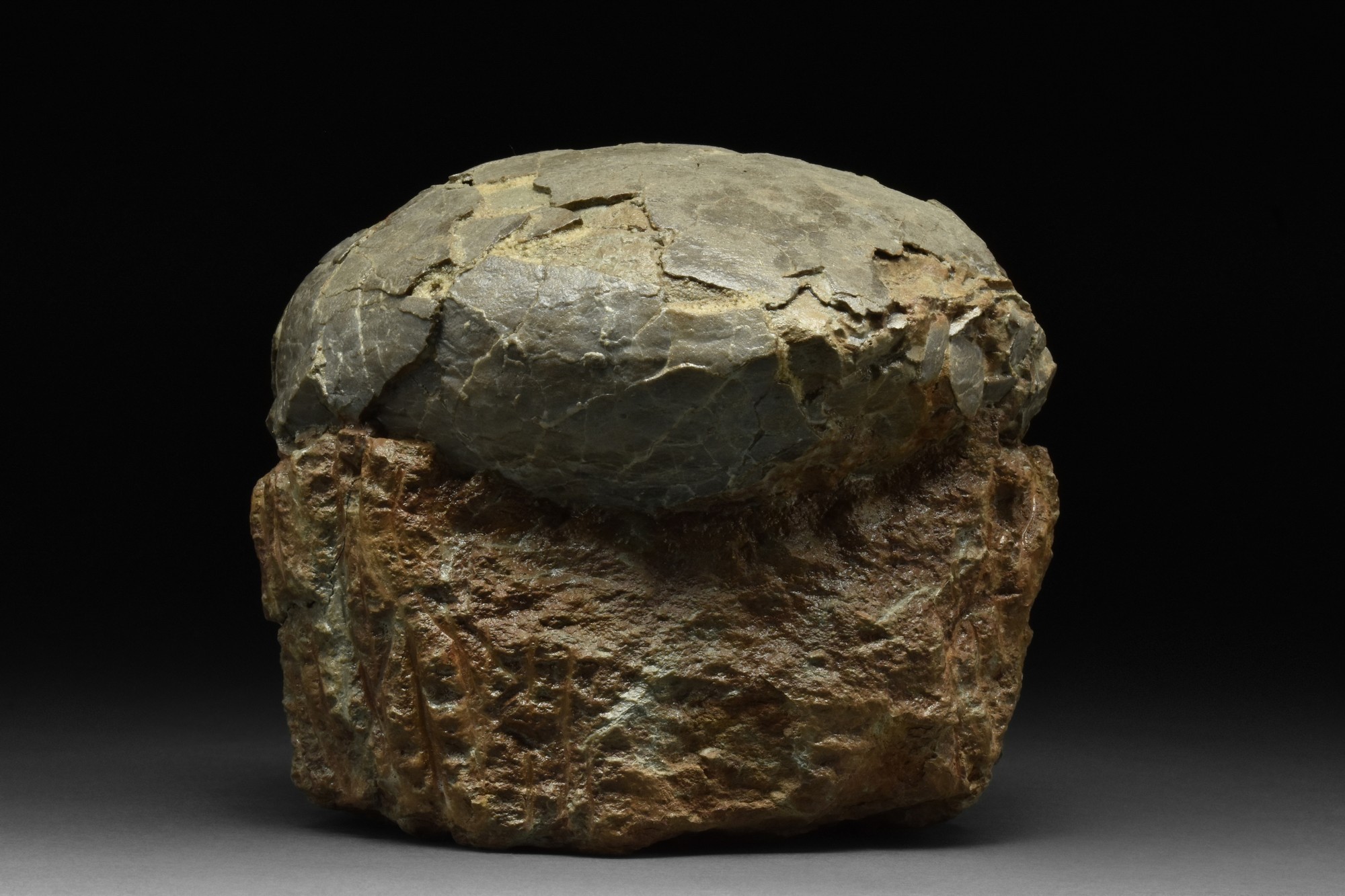 DINOSAUR EGG FOSSIL - Image 2 of 6