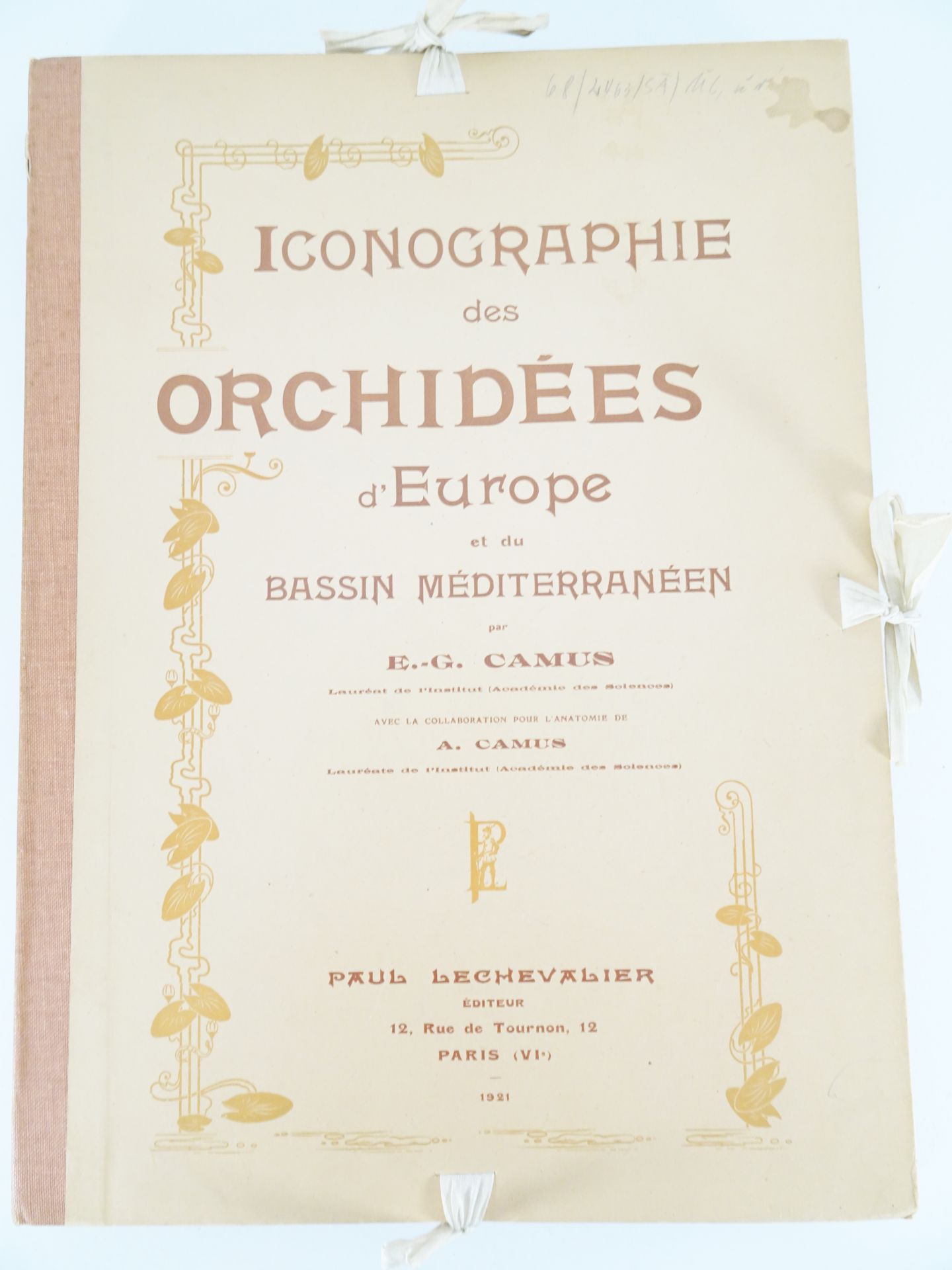 |Orchidaceae| Camus E.G., "Iconographie des Orchidées d'Europe et du Bassin Méditerranéen", 1921 - Bild 6 aus 14