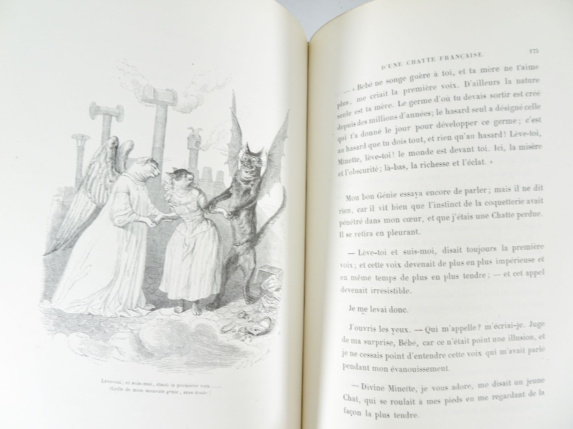 |Illustré| Grandville, "Scènes de la vie privée et publique des animaux", 1842 - Bild 19 aus 19