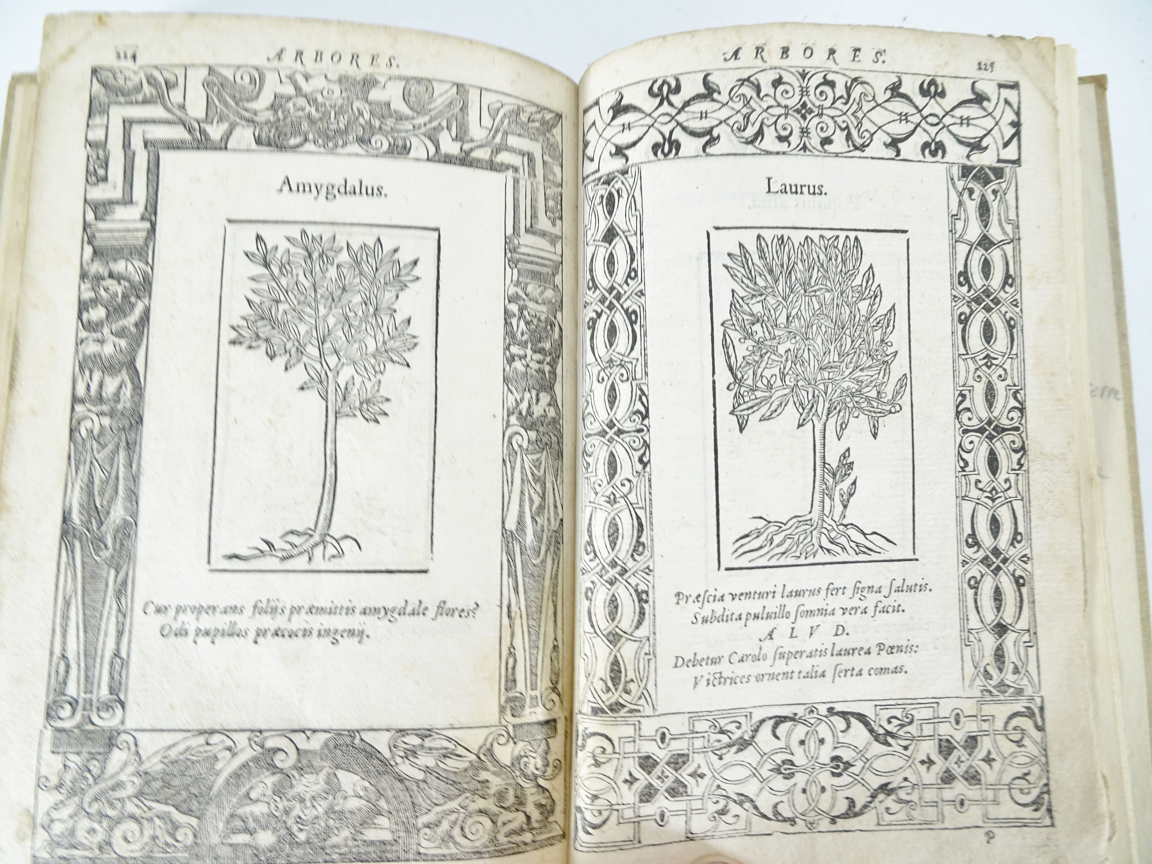 |Emblemata| Alciati Andrea, "Emblemata D.A. Alciati, denuo ab ipso Autore…", 1551 - Image 16 of 21