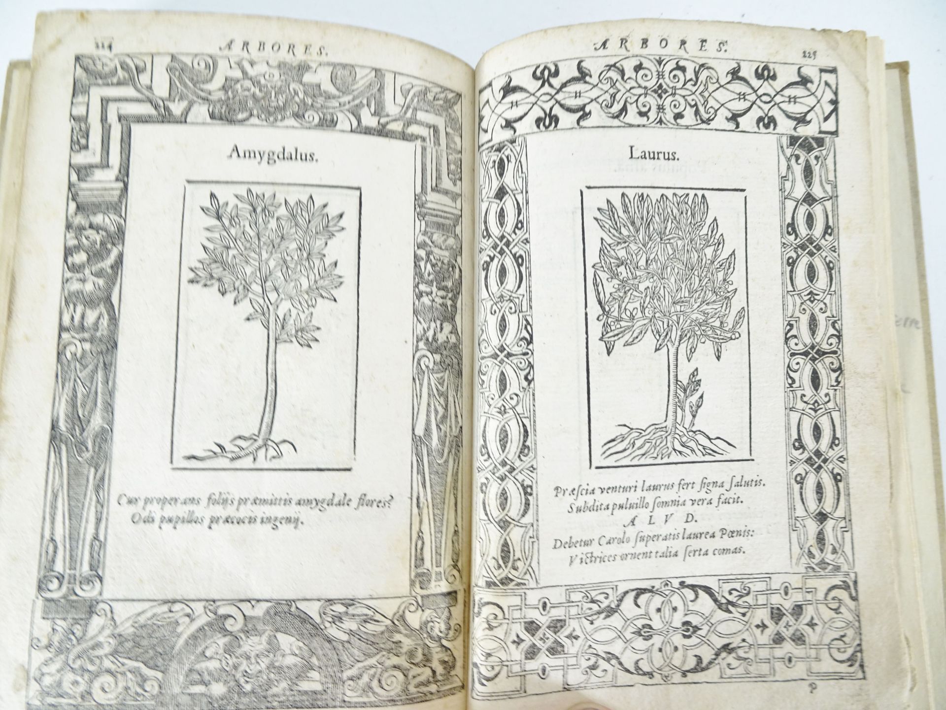 |Emblemata| Alciati Andrea, "Emblemata D.A. Alciati, denuo ab ipso Autore…", 1551 - Bild 16 aus 21