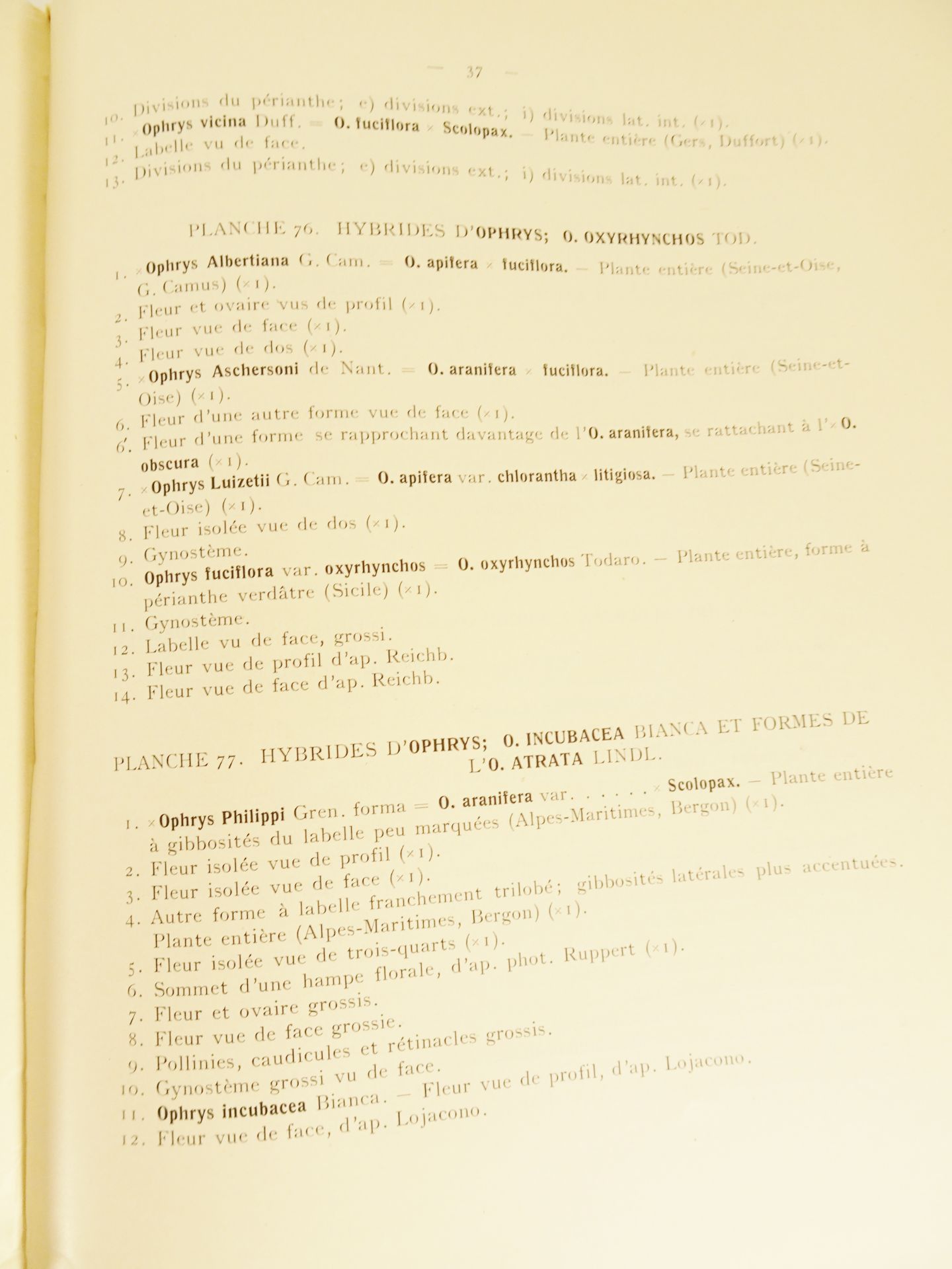 |Orchidaceae| Camus E.G., "Iconographie des Orchidées d'Europe et du Bassin Méditerranéen", 1921 - Bild 5 aus 14