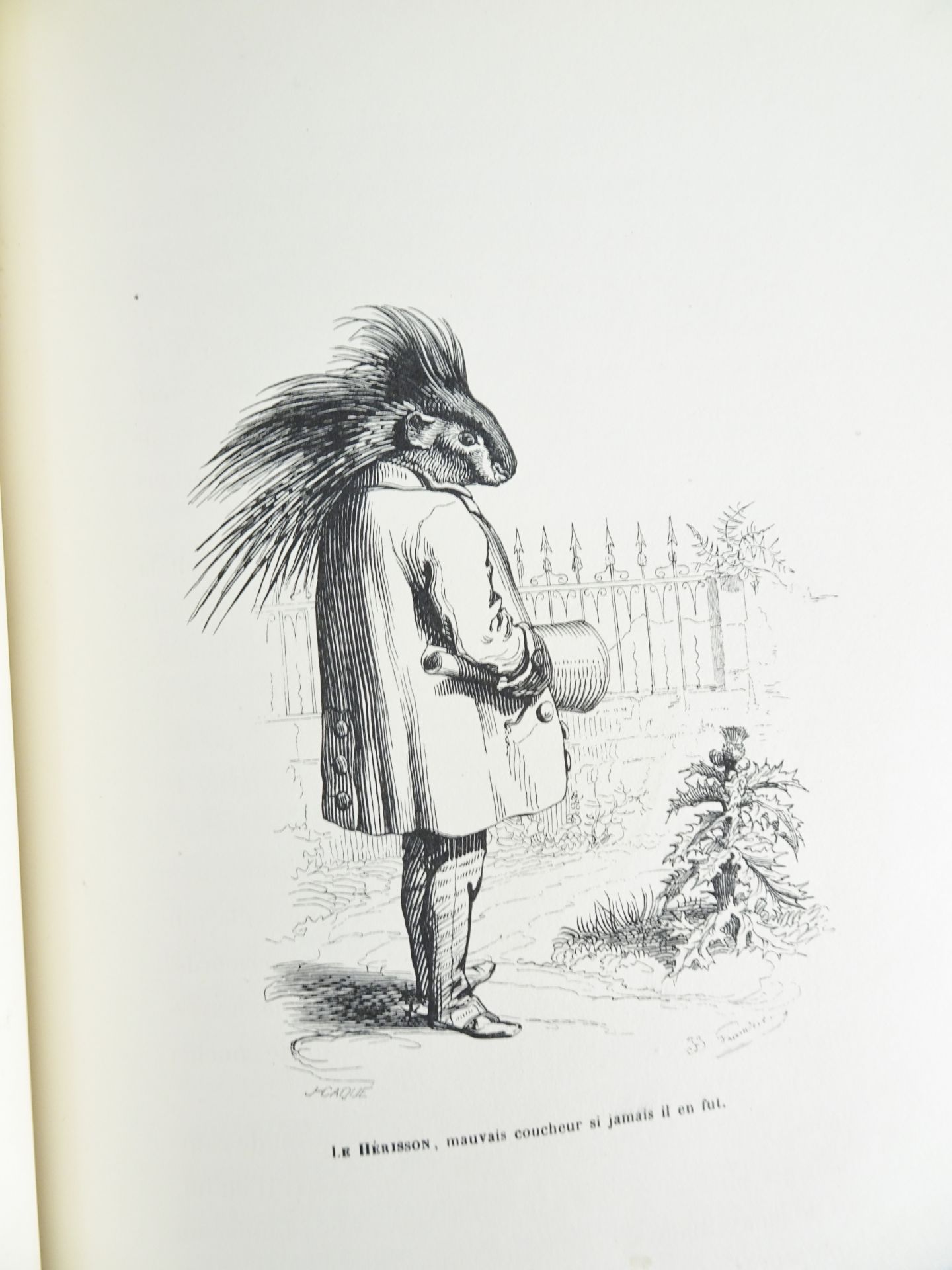 |Illustré| Grandville, "Scènes de la vie privée et publique des animaux", 1842 - Bild 15 aus 19