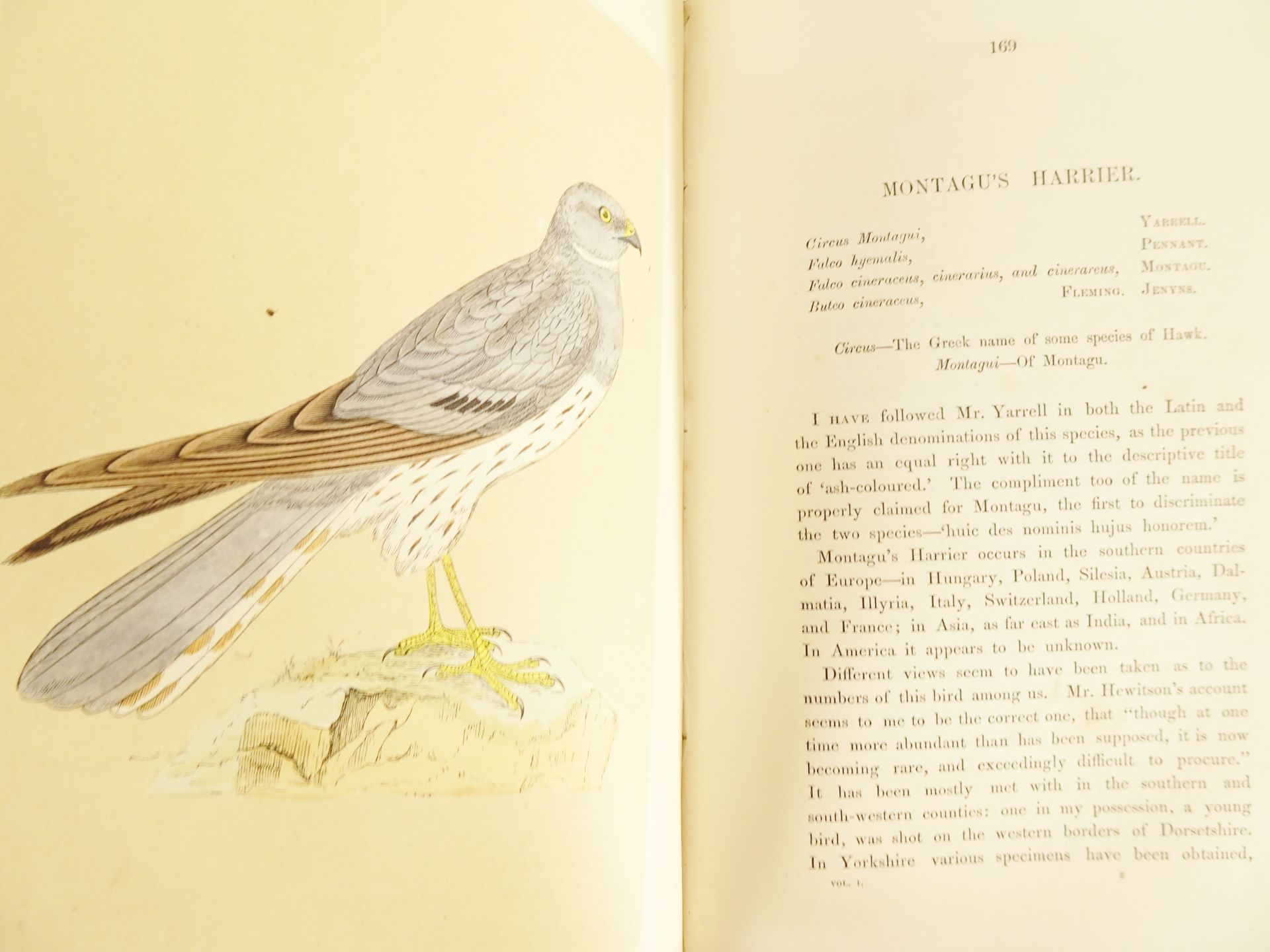 |Birds| Morris F.O., "A history of British birds" - first edition, 1851-1857 - Bild 6 aus 10