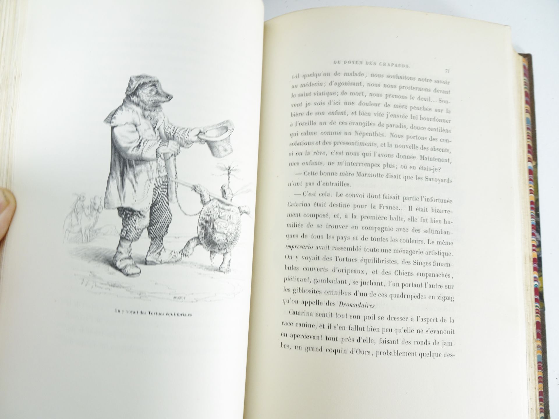 |Illustré| Grandville, "Scènes de la vie privée et publique des animaux", 1842 - Bild 14 aus 19