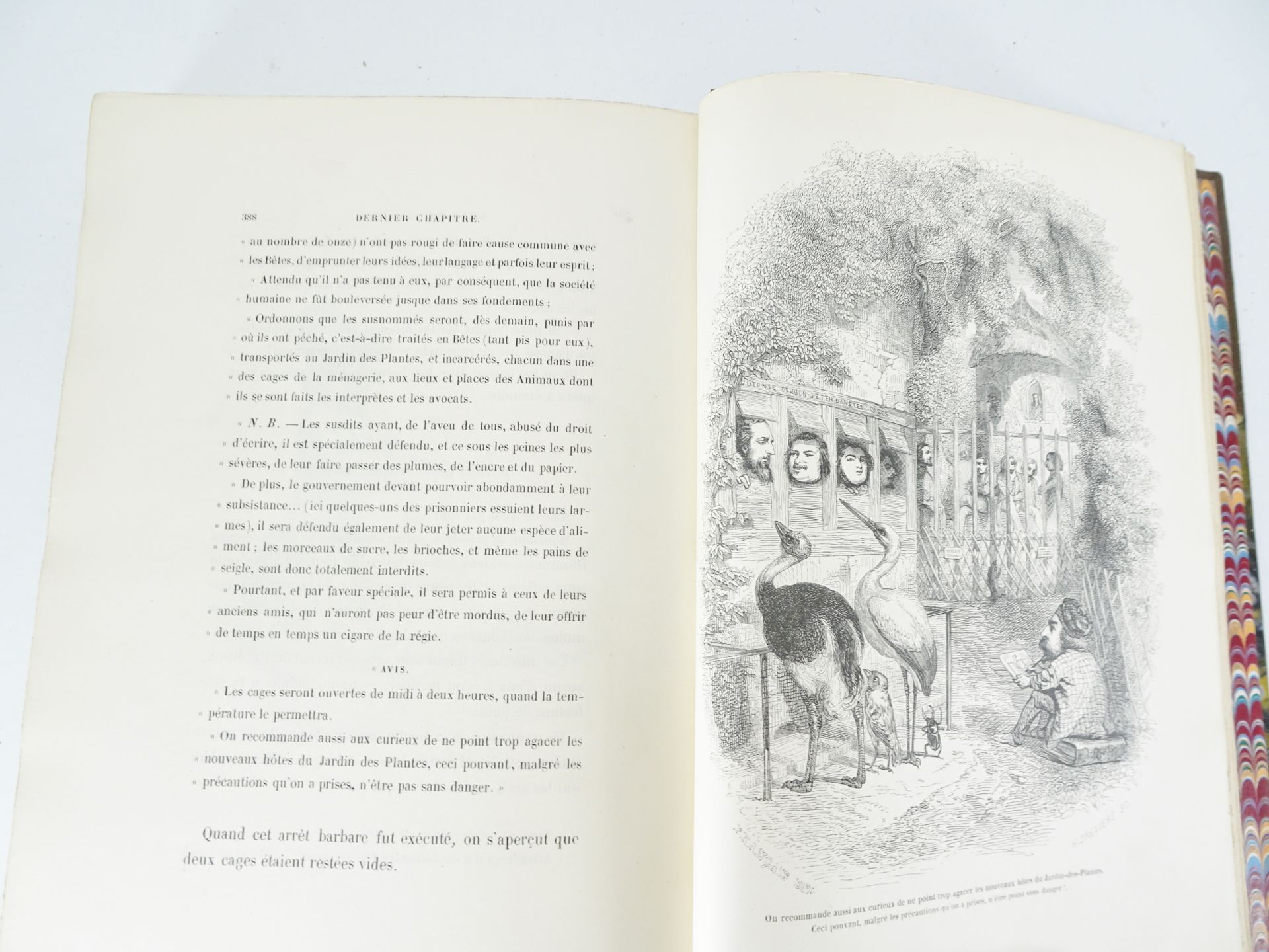 |Illustré| Grandville, "Scènes de la vie privée et publique des animaux", 1842 - Bild 8 aus 19