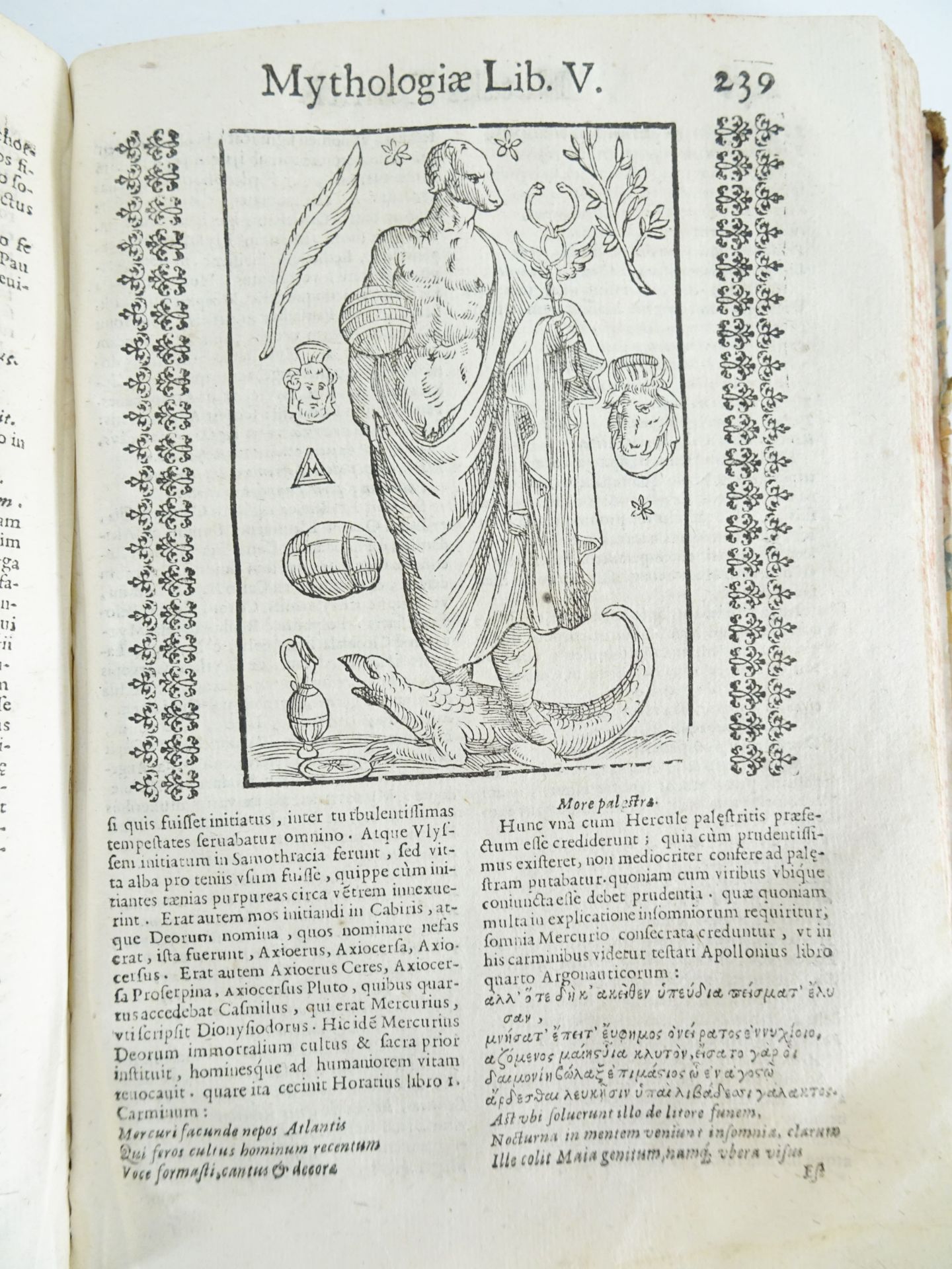 |Mythologie| Conti Natale [Noel le Comte - Natalis Comes], "Natalis Comitis Mythologiae, sive Explic - Bild 13 aus 22