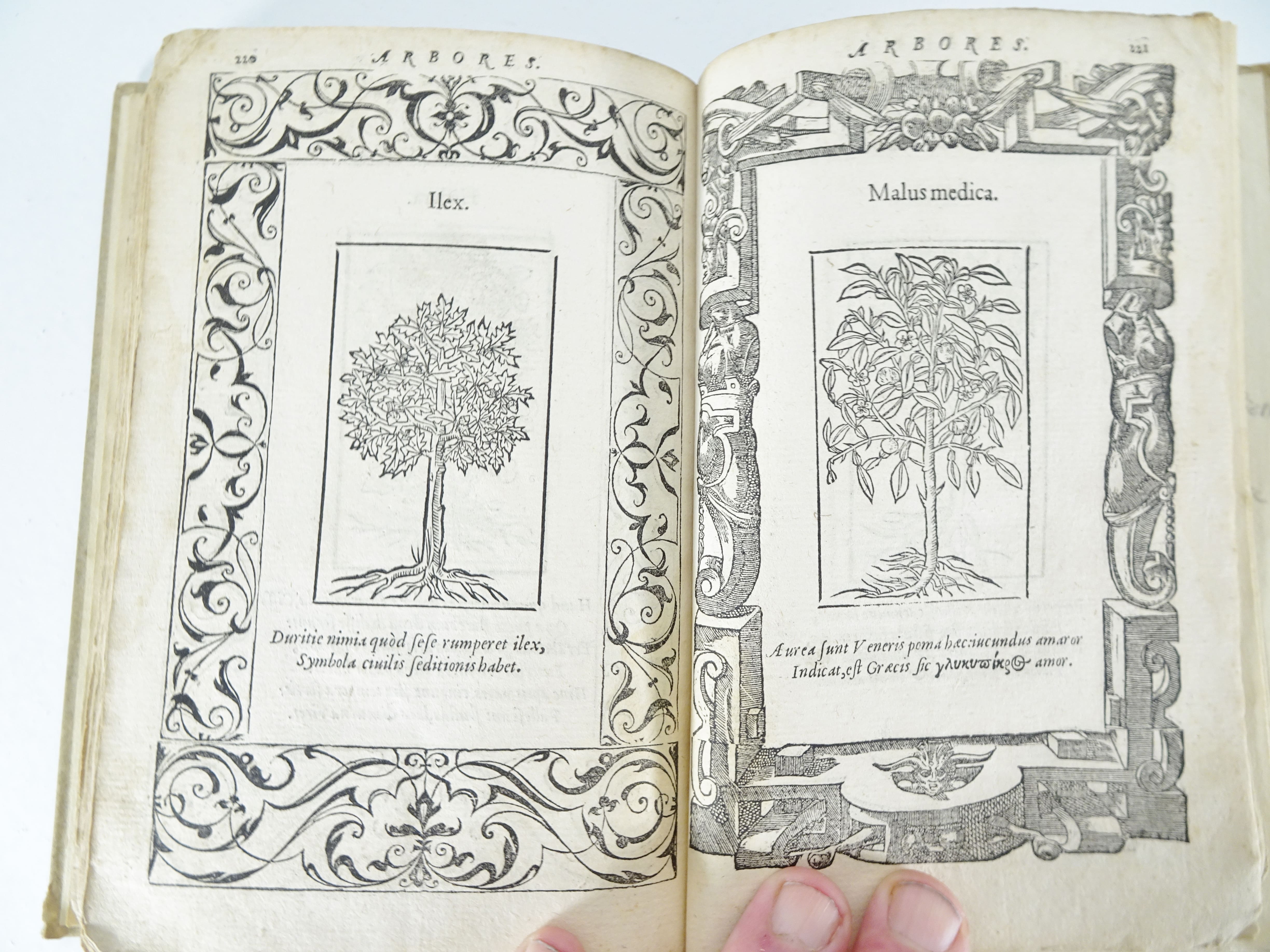 |Emblemata| Alciati Andrea, "Emblemata D.A. Alciati, denuo ab ipso Autore…", 1551 - Image 17 of 21