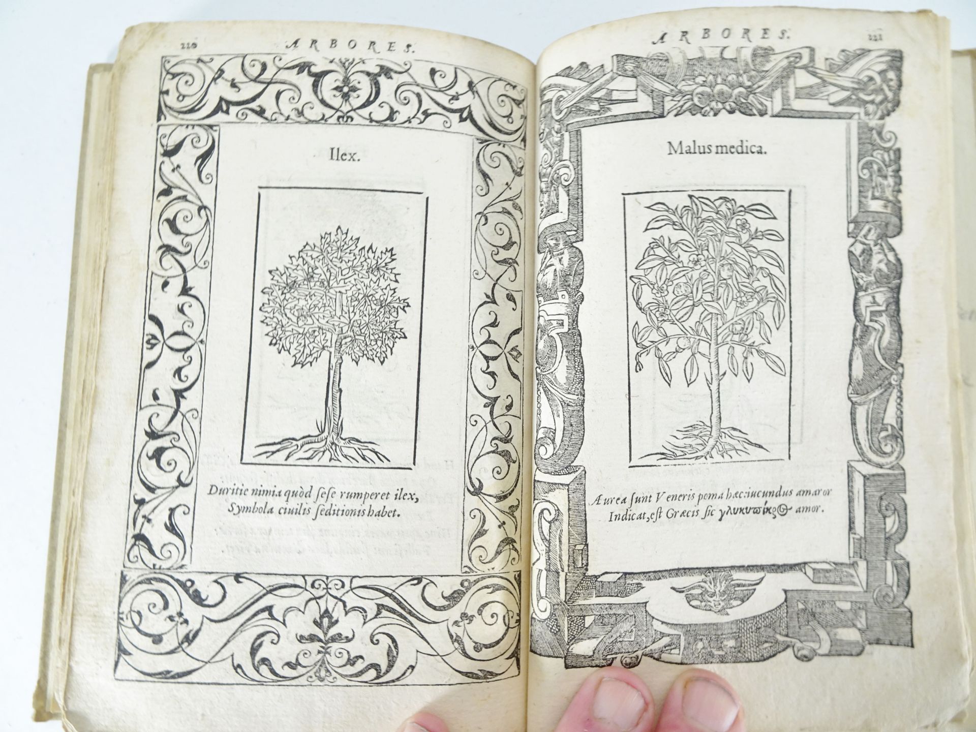 |Emblemata| Alciati Andrea, "Emblemata D.A. Alciati, denuo ab ipso Autore…", 1551 - Bild 17 aus 21