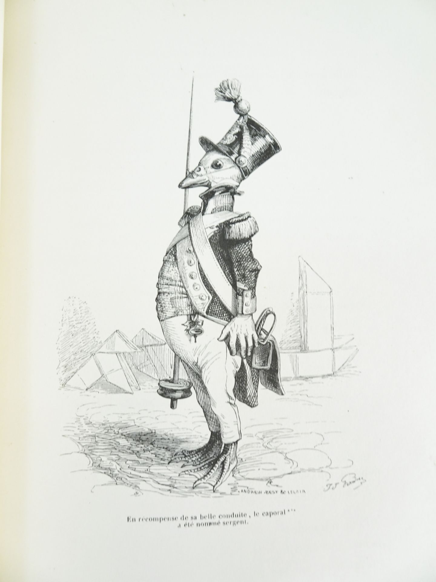 |Illustré| Grandville, "Scènes de la vie privée et publique des animaux", 1842 - Bild 4 aus 19