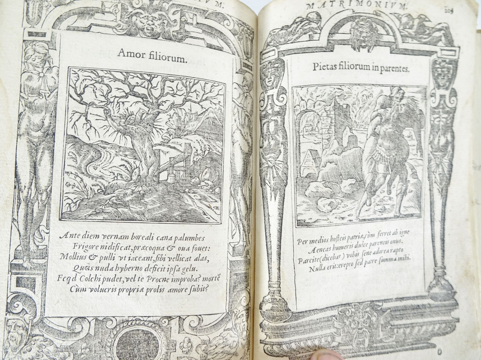 |Emblemata| Alciati Andrea, "Emblemata D.A. Alciati, denuo ab ipso Autore…", 1551 - Bild 18 aus 21