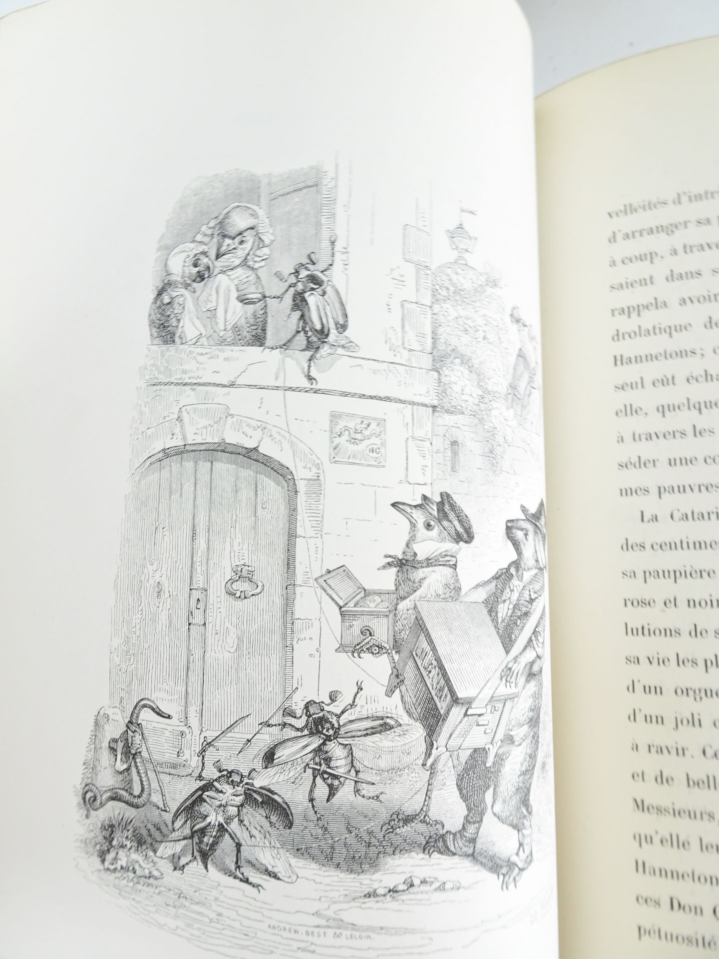|Illustré| Grandville, "Scènes de la vie privée et publique des animaux", 1842 - Bild 12 aus 19