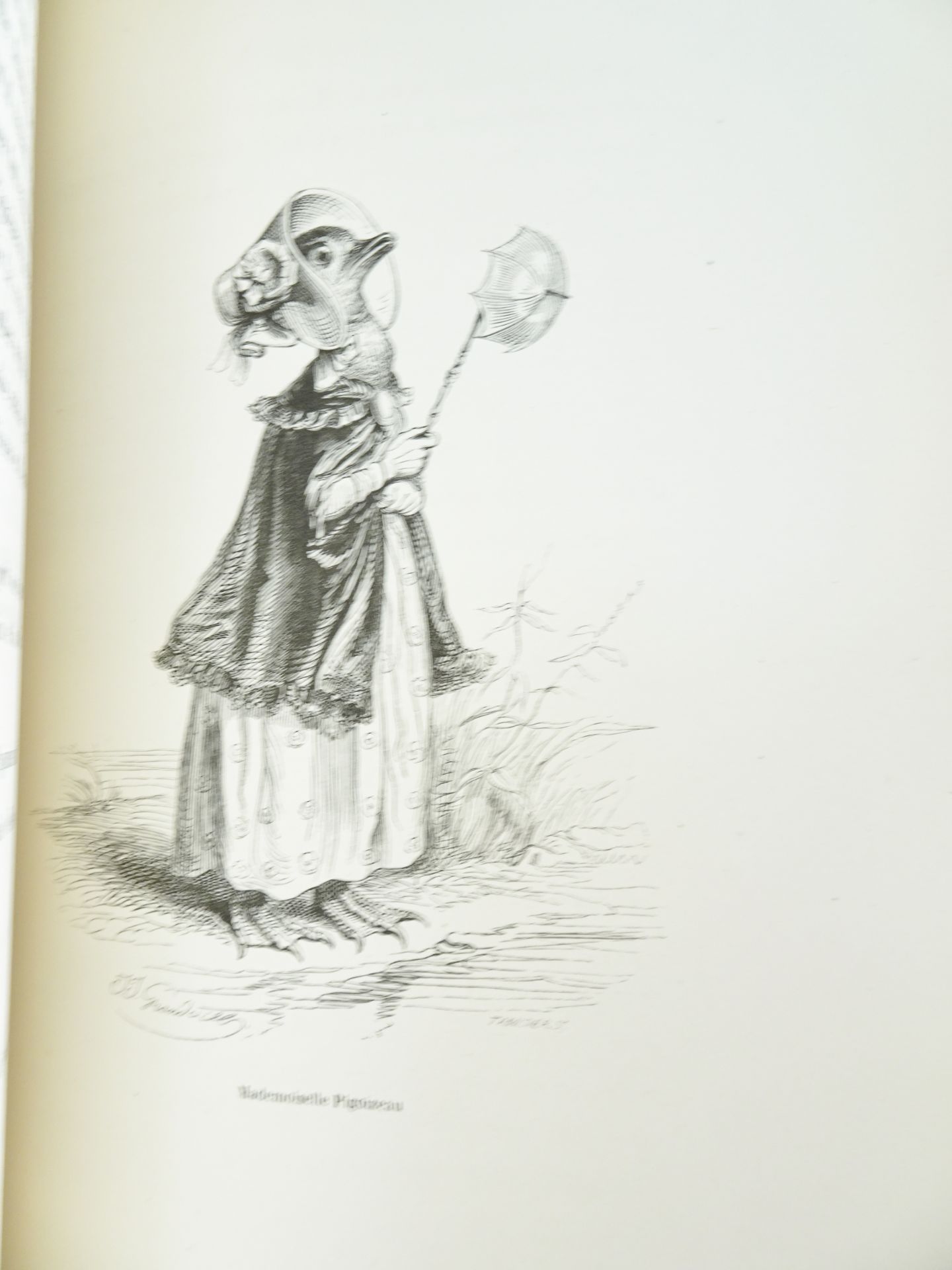 |Illustré| Grandville, "Scènes de la vie privée et publique des animaux", 1842 - Bild 17 aus 19