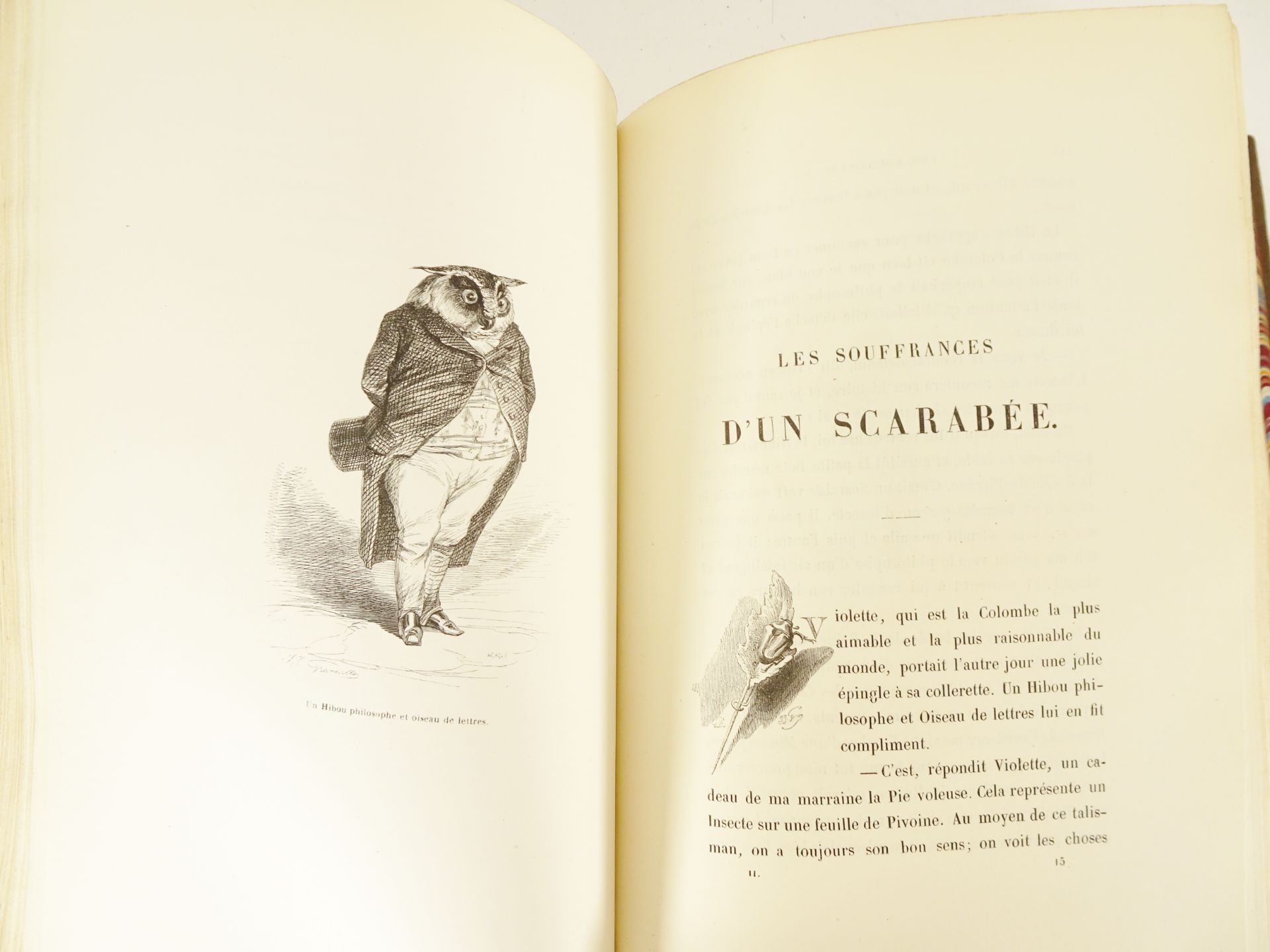 |Illustré| Grandville, "Scènes de la vie privée et publique des animaux", 1842 - Bild 5 aus 19