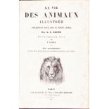 |Naturalia| Brehm E.A.,"La vie des animaux", s.d. (1868)