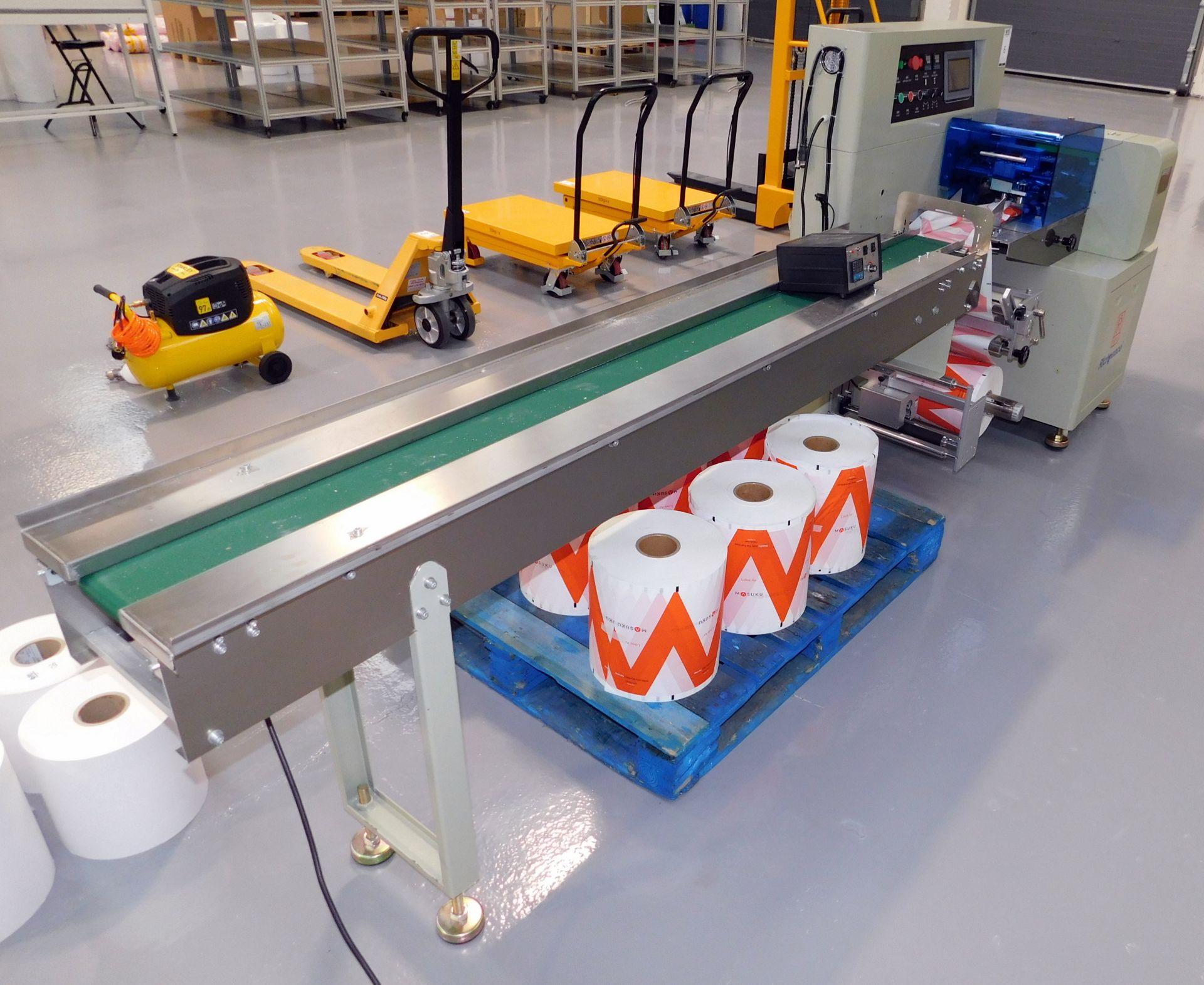 Tianjin Richpeace Automatic Packing Machine & Conveyor - Image 9 of 9