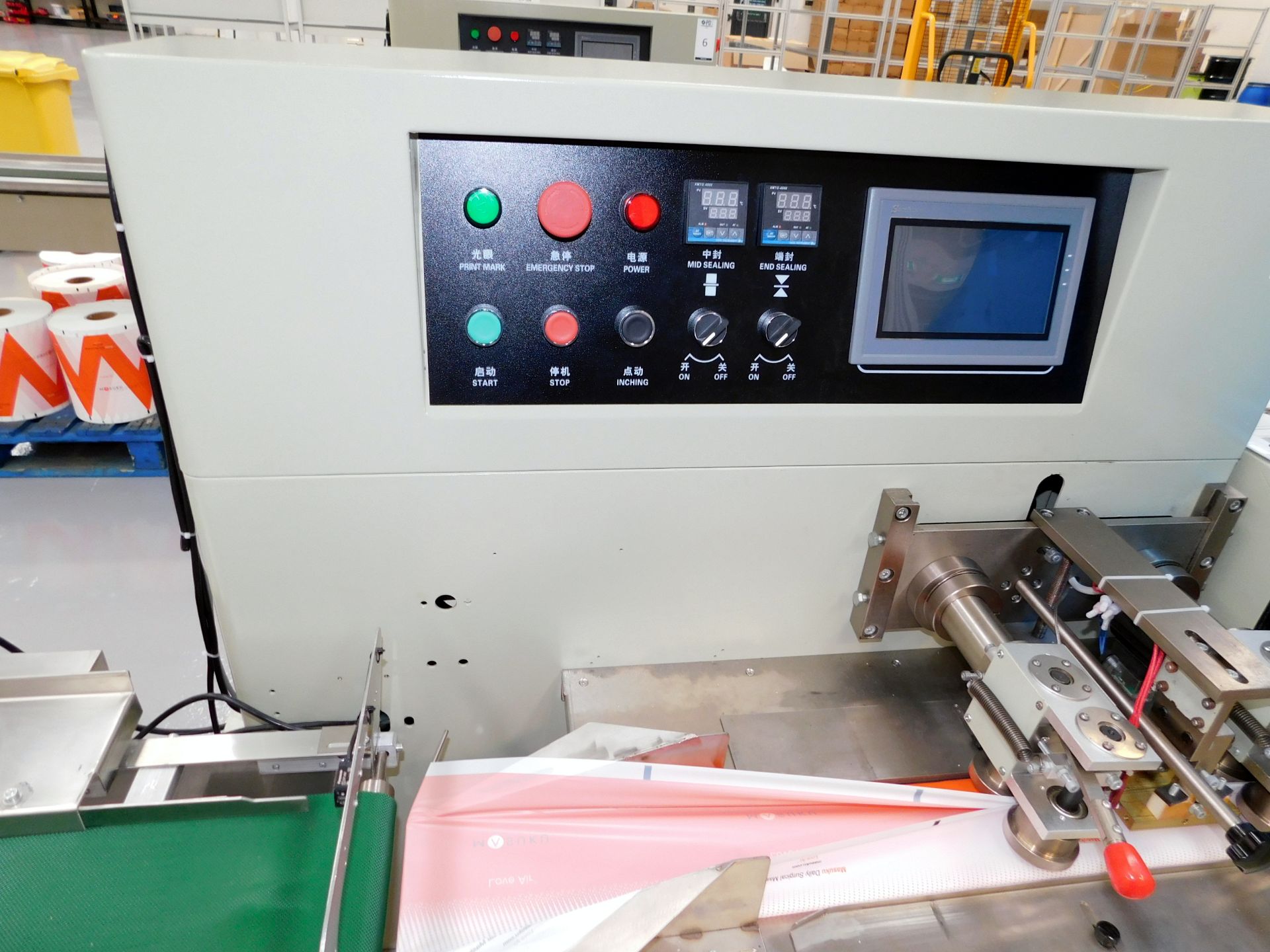 Tianjin Richpeace Automatic Packing Machine & Conveyor, - Image 6 of 11