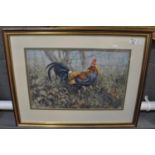 Donna Crawshaw (Welsh 20th Century), 'Ever Alert', study of a cockerel, signed, watercolours. 33 x