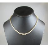 String of graduated cultured pearls with silver clasp. (B.P. 21% + VAT)