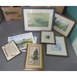 Box of assorted furnishing pictures and prints, various, some unframed. (B.P. 21% + VAT)