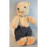 Small vintage teddy bear with glass eyes, stitched nose and movable limbs, wearing a pair of
