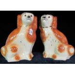 Pair of early 20th Century Staffordshire fireside spaniels with glass eyes and painted features. (