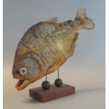 Taxidermy - specimen study of a piranha on a wooden base. 25cm length approx. (B.P. 21% + VAT)