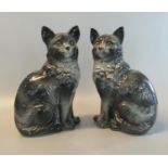 Early 20th century Staffordshire pottery fireside seated cats with glass eyes, painted features