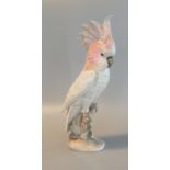 Royal Dux figure of a cockatoo perched on a naturalistic modelled base. Pink triangle mark to the