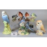 Collection of Beswick bird to include budgerigar, owl, grey wag tail, two robins, etc. (8) (B.P. 21%